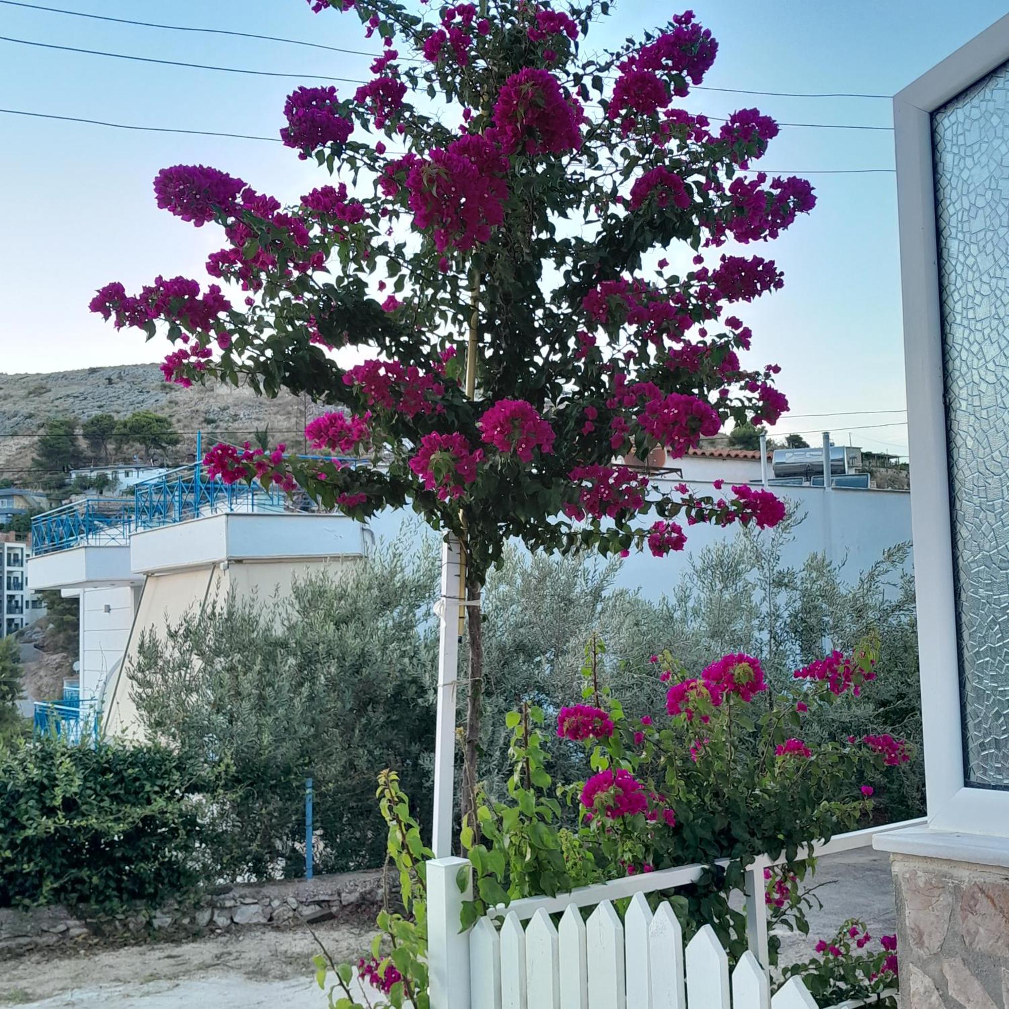Denni'S Home Sarandë Exterior foto