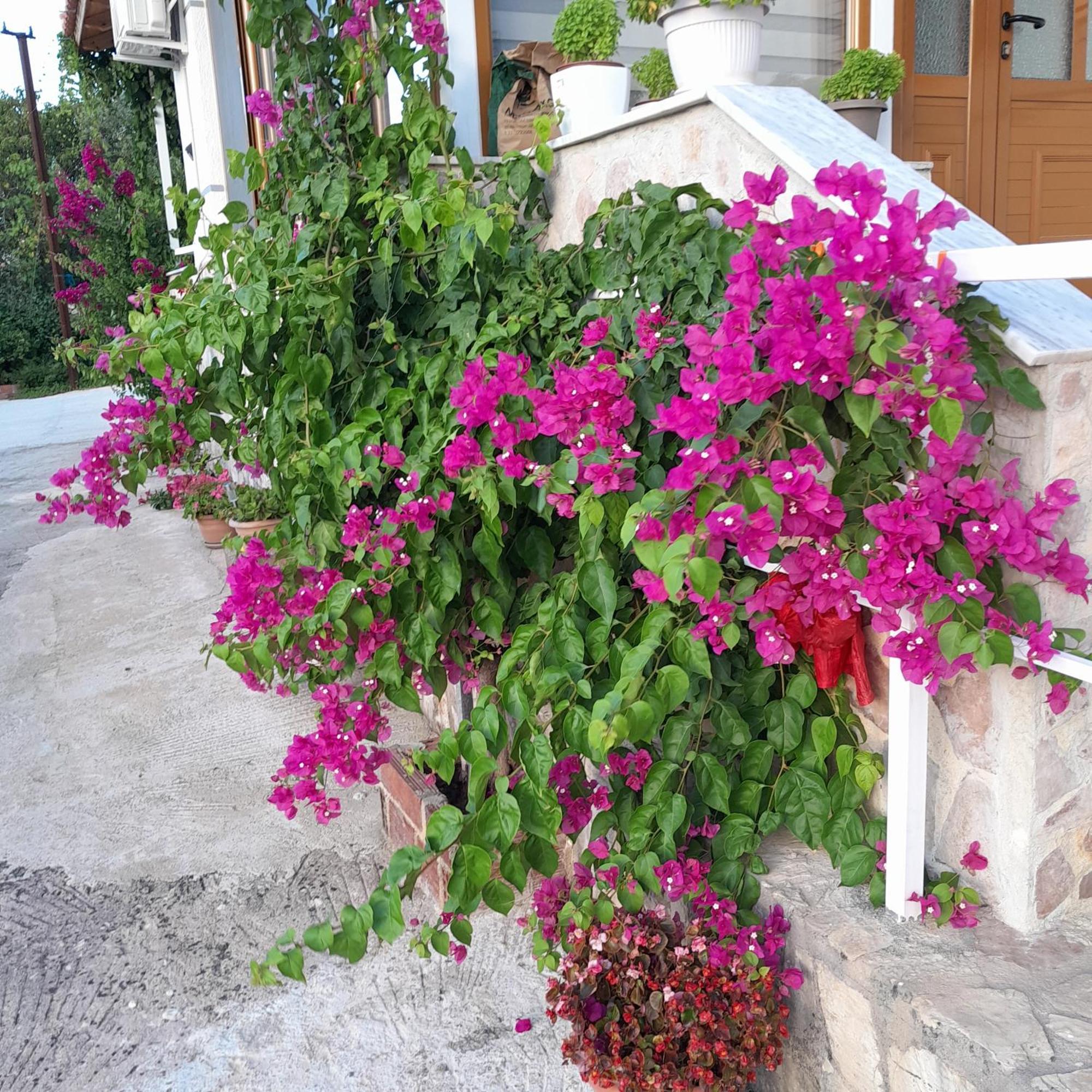 Denni'S Home Sarandë Exterior foto