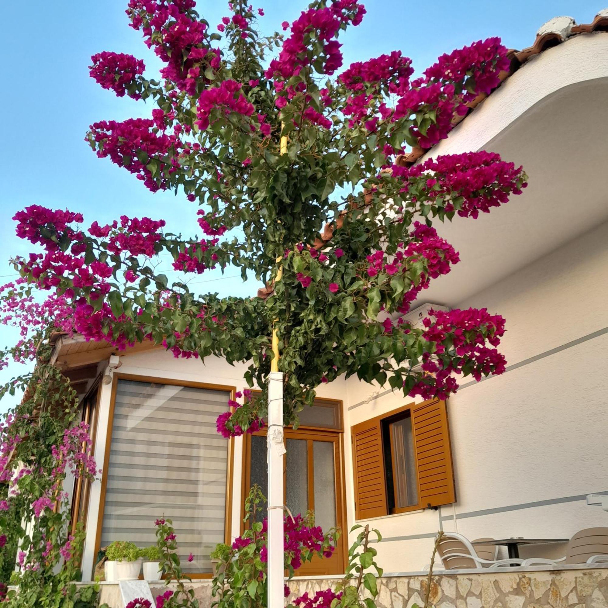 Denni'S Home Sarandë Exterior foto